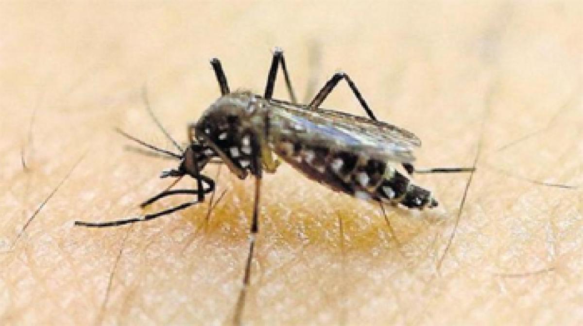 Bangladesh confirms first case of Zika virus